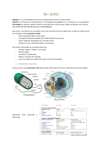 TEMA-7-BACTERIAS.pdf