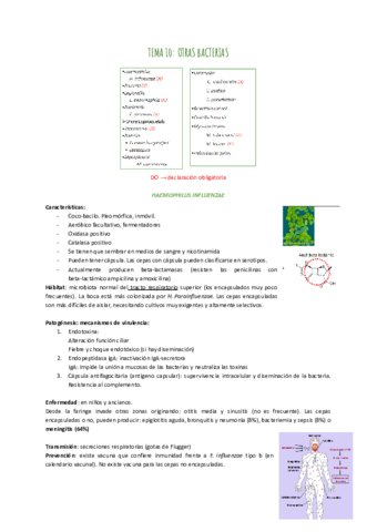 TEMA-10-OTRAS-BACTERIAS.pdf
