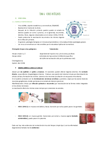 TEMA-6-VIRUS-PATOGENOS.pdf