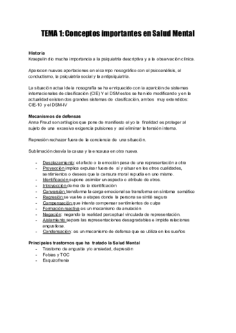 SALUD-MENTAL.pdf