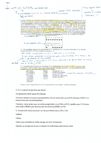 Ejemplo-de-preguntas-2o-parcial-EIP.pdf