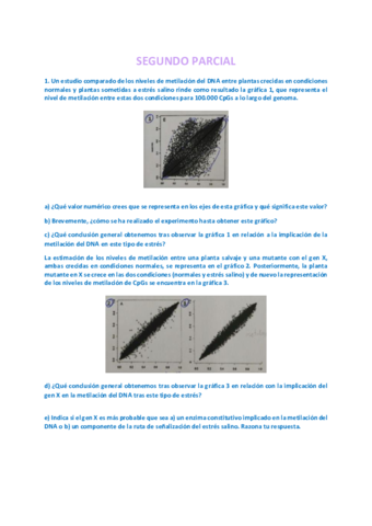 RECOPILACION-SEGUNDO-PARCIAL.pdf