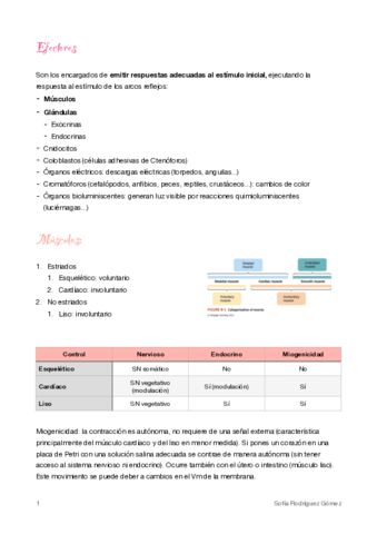 4-Efectores-musculo.pdf