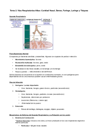 Tema-2-6-Aparato-Respiratorio.pdf
