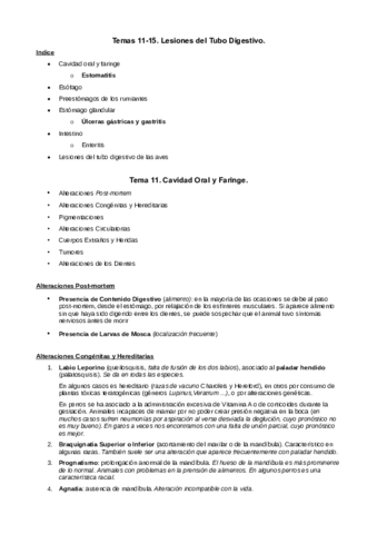 Tema-11-13-Lesiones-del-Tubo-Digestivo-I.pdf