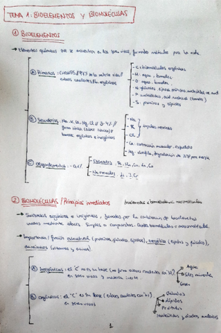 TEMA-1-BIOELEMENTOS-Y-BIOMOLECULAS.pdf