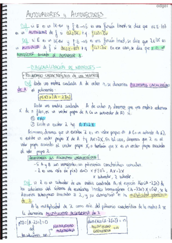 Tema-5-Autovalores-y-autovectores.pdf