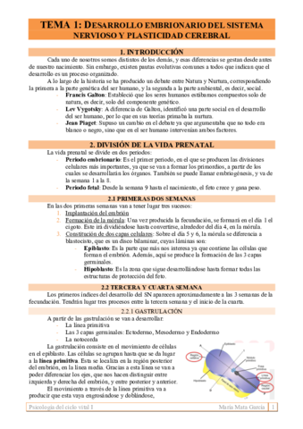 TEMA-1.pdf