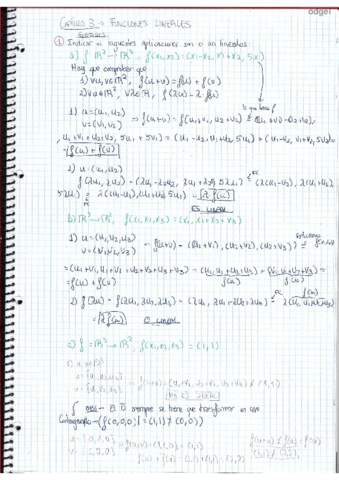 Ejercicios-aplicaciones-lineales.pdf