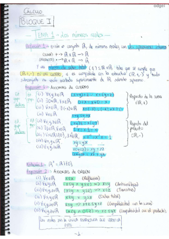 TEMA-1-LOS-NUMEROS-REALES.pdf