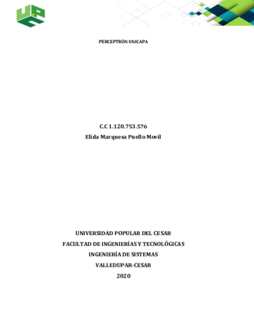 Informe-RNA-PU.pdf