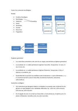 Tema 4 La corrección morfológica.pdf