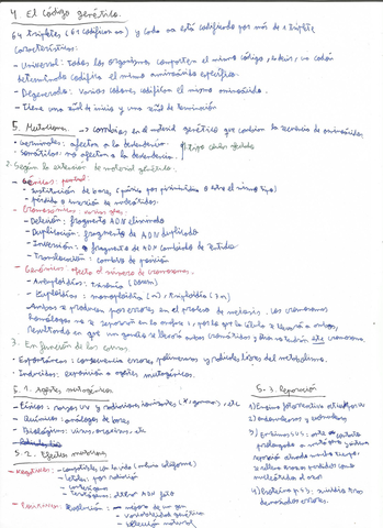 Genetica-molecular-3-PAU.jpg