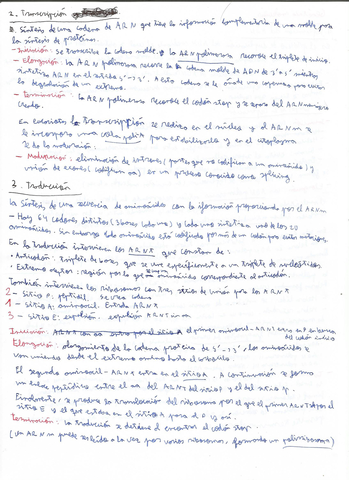 Genetica-molecular-2-PAU.jpg