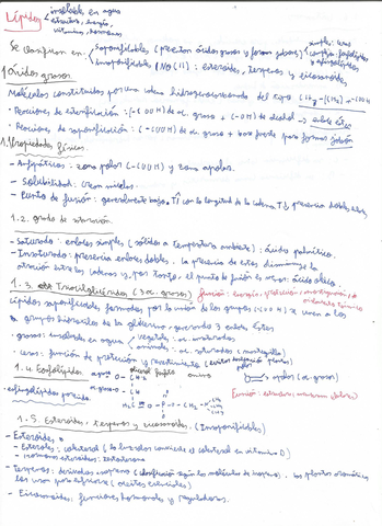 Lipidos-PAU.jpg