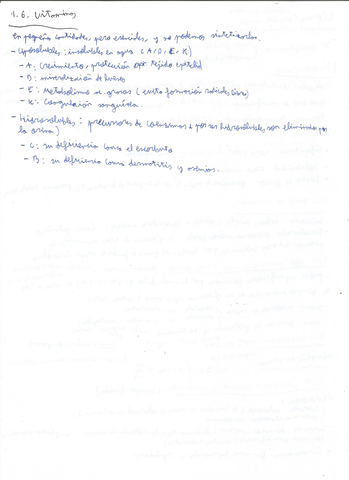 Lipidos-PAU-2.jpg