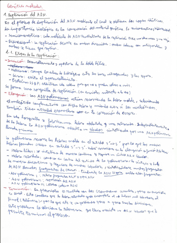 Genetica-molecular-1-PAU.jpg