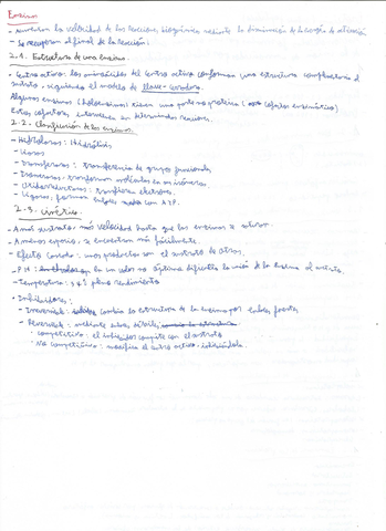 Enzimas-PAU.jpg