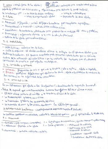 Microbiologia-2-PAU.jpg