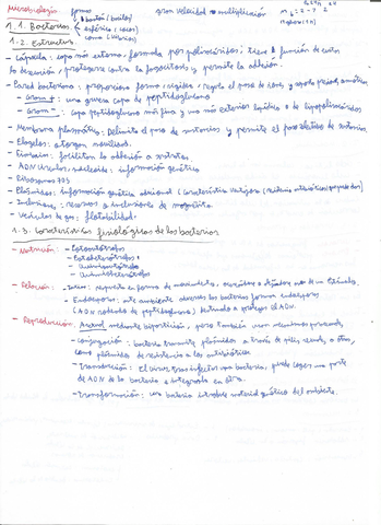 Microbiologia-1-PAU.jpg