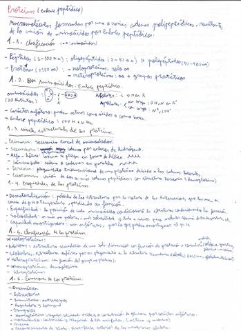 Proteinas-PAU.jpg