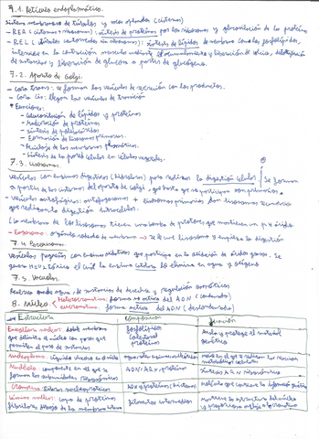 Organulos-3.jpg