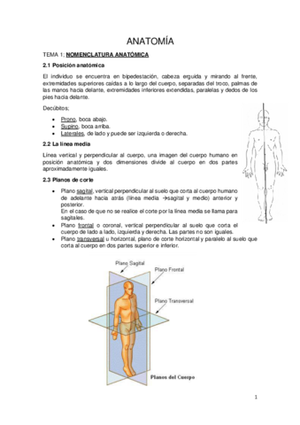 ANATOMIA-COMPLETA.pdf