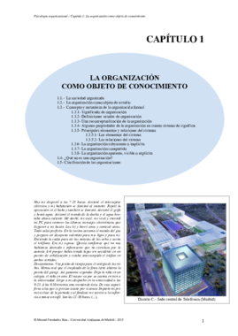 TEMA 1 Capítulo-1 LA ORGANIZACIÓN COMO OBJETO DE CONOCIMIENTO.pdf