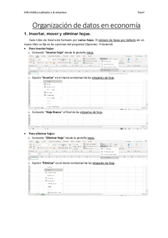 Informatica-aplicada-a-la-empresa-Tema-1.pdf