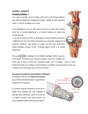 APARELL-DIGESTIU.pdf