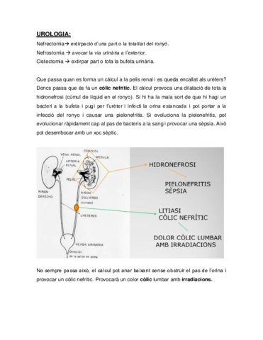 UROLOGIA.pdf