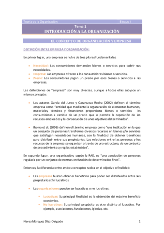 Tema-1-Introduccion-a-la-organizacion.pdf