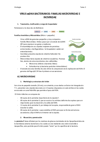 virologia-team-3.pdf