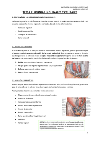 TEMA-2-HERNIAS-INGUINALES-Y-CRURALES.pdf