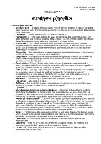 Seminario-2-corregido.pdf