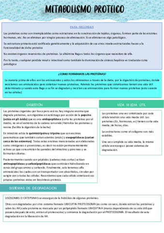 resumen-metabolismo-proteinas.pdf