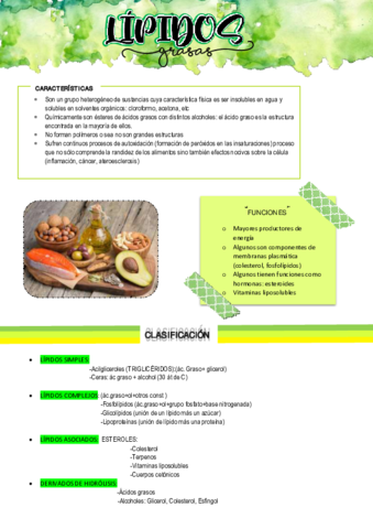 RESUMEN-LIPIDOS.pdf
