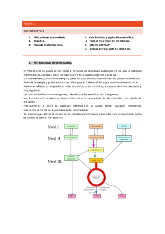 TEMA-3-BIOQ.pdf