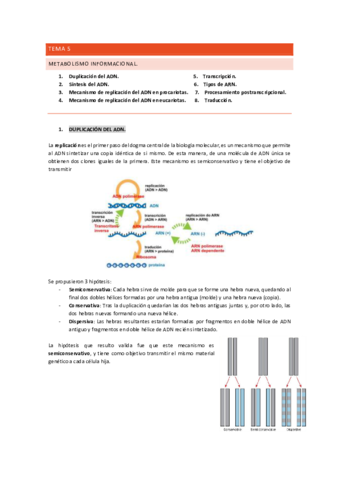 TEMA-5-BIOQUIMICA.pdf