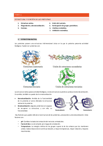 TEMA-2-bioquimica.pdf