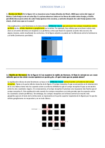 EJERCICIOS-TEMA-2.pdf
