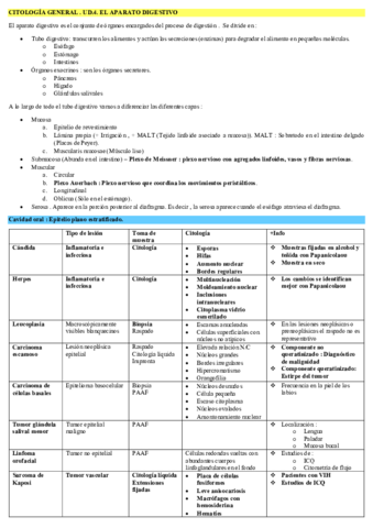 El-Aparato-Digestivo.pdf