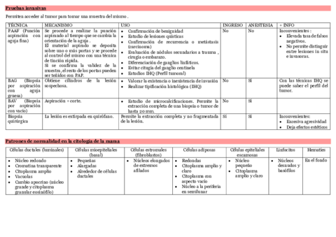 GIN-TABLA-PDF.pdf