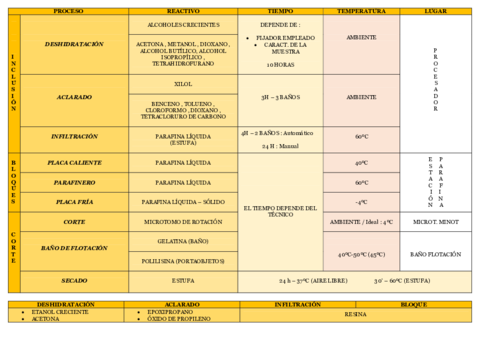 ESQUEMA-ESTUDIOS-TABLA.pdf