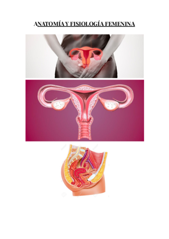 ANATOMIA-FEMENINA-1.pdf