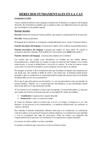 DERECHOS-FUNDAMENTALES-EN-LA-CAV-teoria.pdf