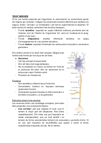 3-morfologia-animal.pdf