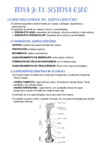 TEMA-9-EL-SISTEMA-OSEO.pdf