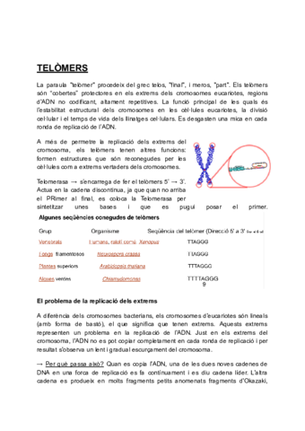 T3-Biologia.pdf