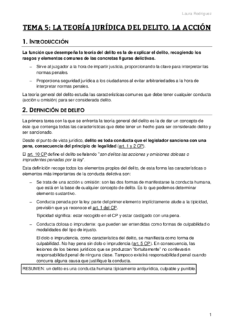 TEMA-5-penal-general-acabado.pdf